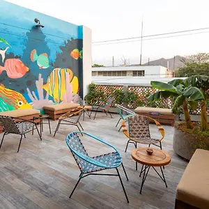 호스텔 Distrito Hostel, 산타마르타